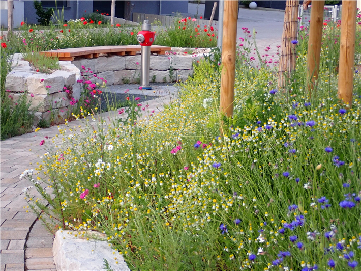 Impressionen von ehemaligen Teilnehmenden beim Deutschland summt!-Pflanzwettbewerb &copy; Piko Park Makers Gemeinde Röttenbach