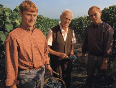 Stefan, Ottoheinrich & Gerhard Sander bei der Lese &copy; Sander Weine