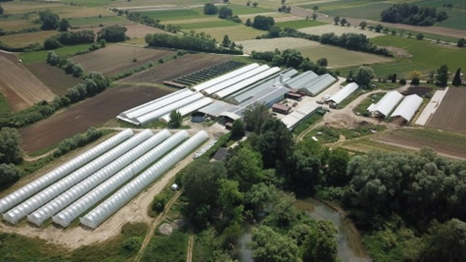 Moosfeld Gemüse: Biozyklisch-veganer Gemüsebaubetrieb am Bodensee. &copy; Moosfeld Gemüse GmbH