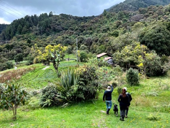 Finca Villa Paz: Biozyklisch-veganer Gemüseanbau in den kolumbianischen Anden &copy; Dr. Kerstin Anders