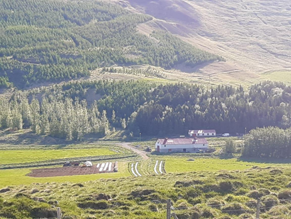 Blöndudalsholar­: Umgestellter ehemaliger Milchbetrieb in Island &copy; Andrea Müller