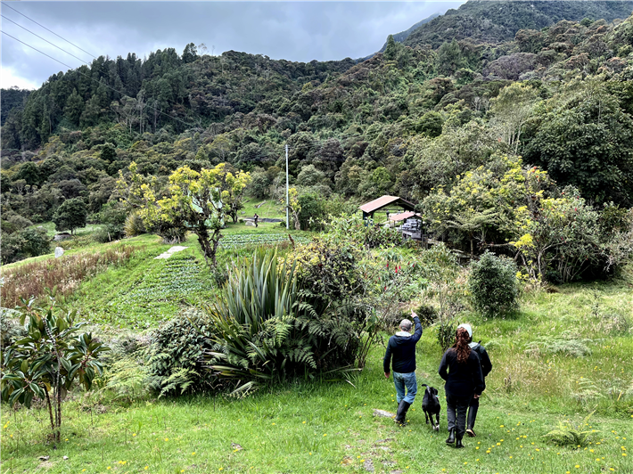 Finca Villa Paz: Biozyklisch-veganer Gemüseanbau in den kolumbianischen Anden &copy; Dr. Johannes Eisenbach