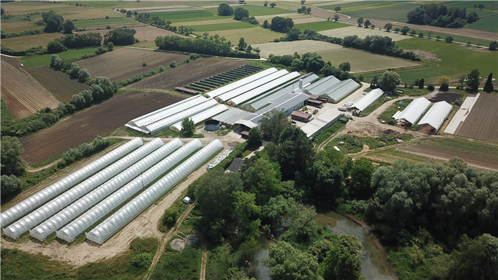 Moosfeld Gemüse: Biozyklisch-veganer Gemüsebaubetrieb am Bodensee. &copy; Moosfeld Gemüse GmbH