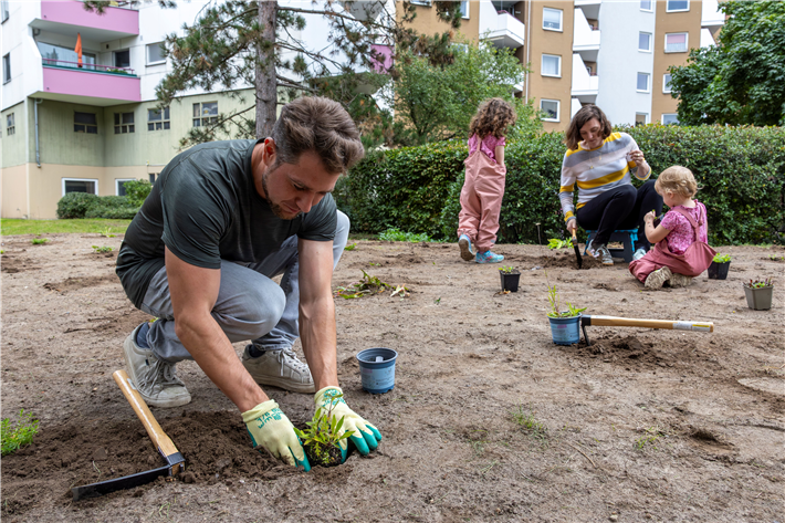 Ein Pikopark wird gemeinsam mit Anwohnenden und dem Stiftungsteam bepflanzt. &copy;SMU)