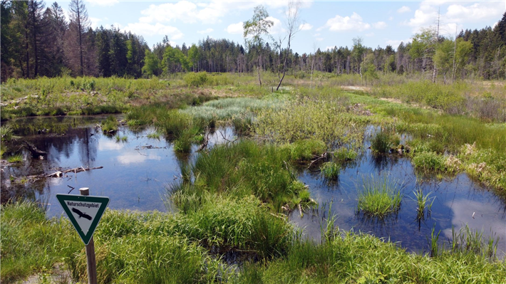 Allgäuer Moorlandschaft &copy; Jan Bolender