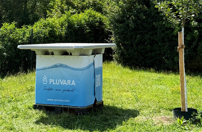 &copy; Pluvara