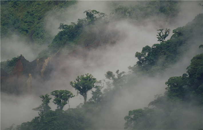 &copy; Kevin Schäfer, WWF