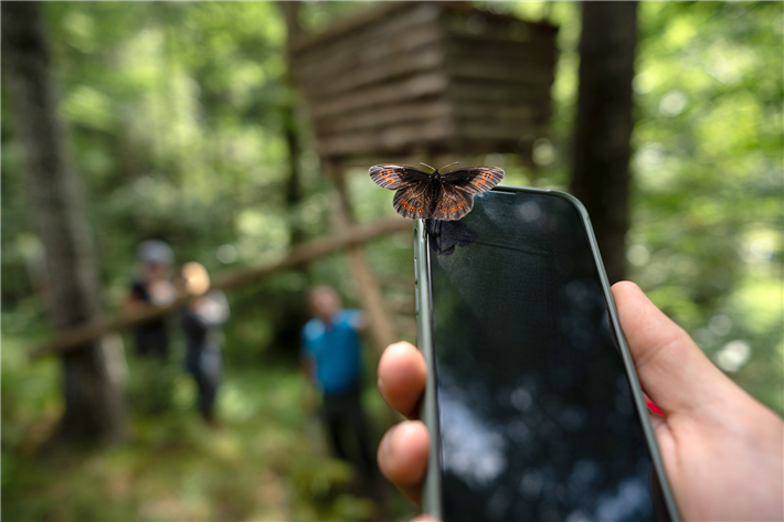 Zwischen Natur und Digitalisierung: Das Bergwaldprojekt setzt sich mit aim2balance.ai für einen nachhaltigeren Umgang mit Künstlicher Intelligenz ein. &copy; Bergwaldprojekt e.V.