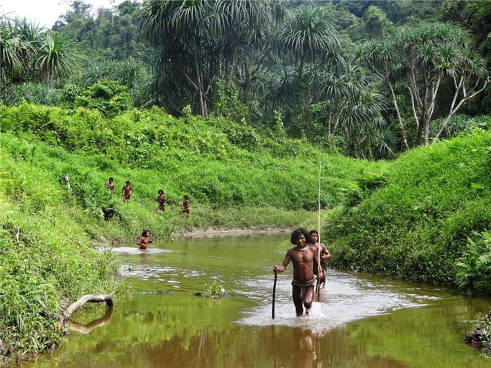 Die unkontaktierten Shompen leben auf der Insel Groß Nikobar und sind für ihr Überleben auf den Regenwald angewiesen. &copy; Anthropological Survey of India