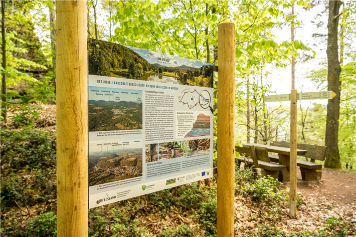 Naturerlebnis trifft Informationen zu Klimawandel, Artenvielfalt und regionalen Besonderheiten: Stationsschild des Klimawandelwegs © Verein SÜW Annweiler am Trifels Dominik Ketz