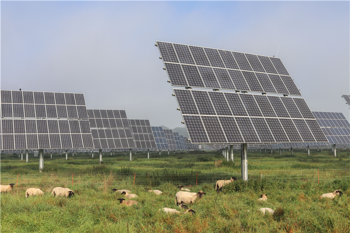 Agri-, Parkplatz- und Floating-PV-Anlagen befinden sich anders als Freiflächen-PV weiter im Markthochlauf. Höhere Errichtungskosten dürften dazu führen, dass diese Anlagen im ersten Segment weniger zum Zuge kommen. &copy; Vincent Delsuc, pexels.com