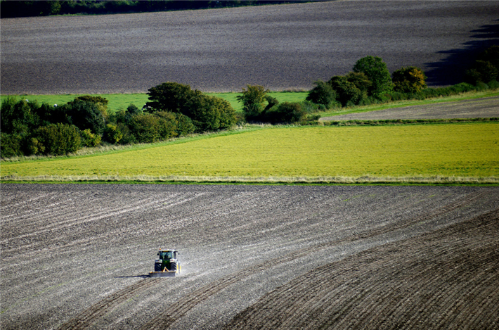 Agroforst bedeutet, Bäume und Sträucher gezielt mit anderen landwirtschaftlichen Produktionszweigen zu kombinieren – auf Ackerflächen, Wiesen oder Weiden und in bestimmten Fällen auch in Wäldern. Die Gehölze können in Reihen, Streifen oder punktuell angelegt werden. &copy; Brett Jordan, unsplash.com
