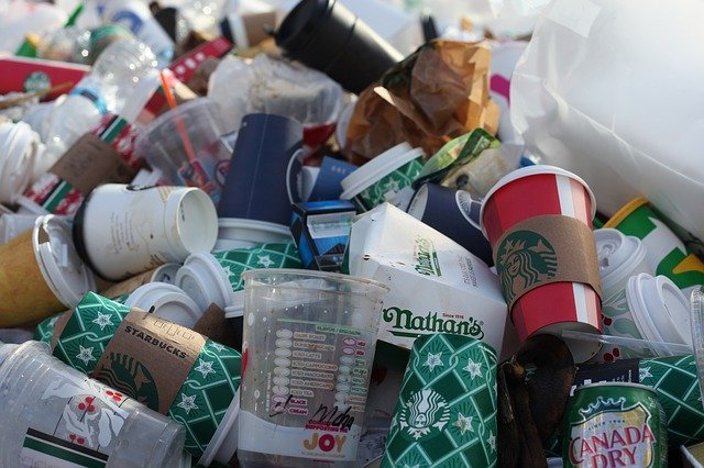 Die Städte und Gemeinden in Deutschland zahlen jährlich rund 700 Millionen Euro, um Parks und Straßen von Zigarettenkippen, To-Go-Bechern und anderen Einwegplastik-Produkten zu reinigen sowie öffentliche Abfallbehälter zu leeren und die Abfälle zu entsorgen. © Jasmin Sessler, Pixabay.com