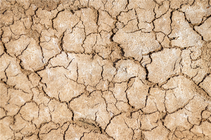 Ausgetrocknete Böden sind eine Folge der immer häufiger auftretenden Hitzewellen. © analogicus, pixabay.com