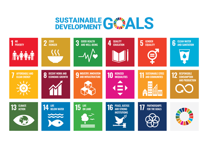 © www.un.org/sustainabledevelopment/