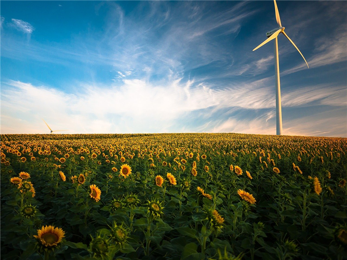 Für Christoph Quarch ist jetzt die Zeit gekommen, die von der Merkelregierung verschlafene Energiewende konsequent durchzuziehen. © Pexels, pixabay.com