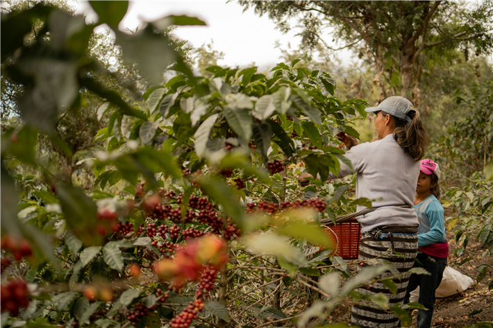 Fairtrade setzt sich auch dafür ein, die Ursachen von Kinderarbeit zu bekämpfen und Missbrauch sowie Ausbeutung von Kindern zu verhindern. &copy; Shelby Murphy Fugueroa, unsplash.com