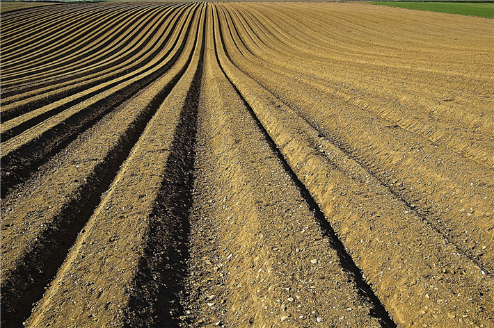 Die Gelder für den Klimaschutz aus den EU-Agrarfonds haben nicht dazu geführt, dass die Landwirtschaft weniger Treibhausgase ausstößt. © Free-Photos, pixabay.com