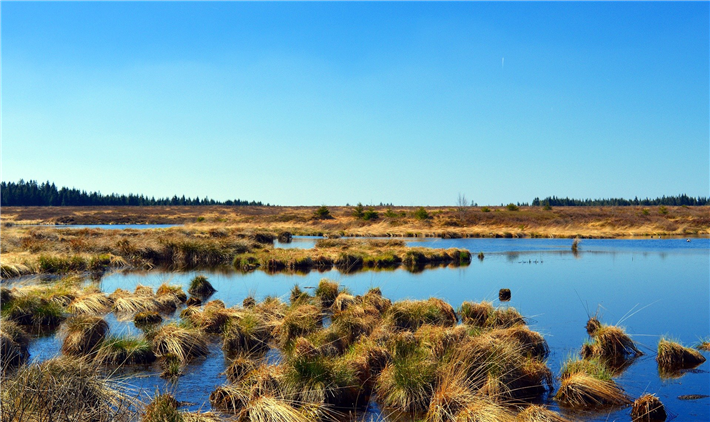 Die weitgehende Vernässung aller entwässerten Moore ist ein wesentlicher Beitrag zur Klimaneutralität. © marisa04, pixabay.com