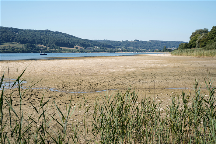 Niedrigwasser am Bodensee &copy; Birgit Steven-Lahno, unsplash.com