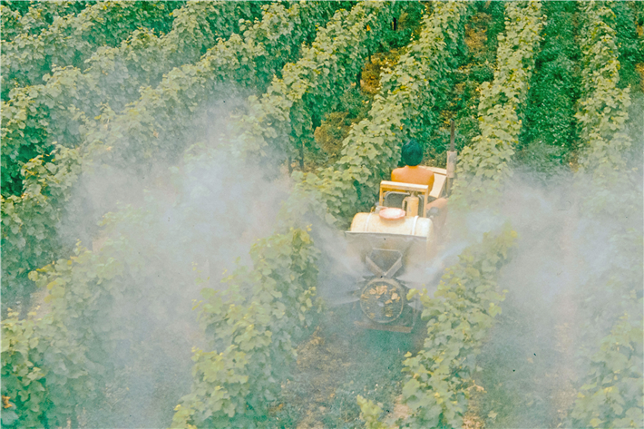 Das Bündnis fordert einen sofortigen Exportstopp für Pestizide und Wirkstoffe, die in der EU aus Gesundheits- oder Umweltgründen nicht zugelassen sind. &copy; Annie Spratt, unsplash.com