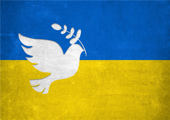 Kompromisse sind im Ukraine-Konflikt möglich und dringend gefordert, sagt Sahra Wagenknecht. © Alexandra Koch, pixabay.com
