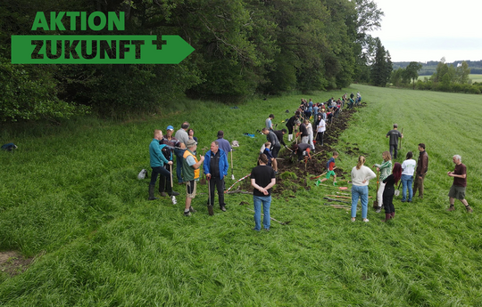Erfolgreicher Moor-Mitmachtag mit 100 Freiwilligen