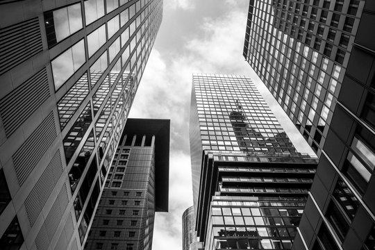 Neues SBTN Accelerator-Angebot hilft Unternehmen Biodiversität strategisch mitzudenken