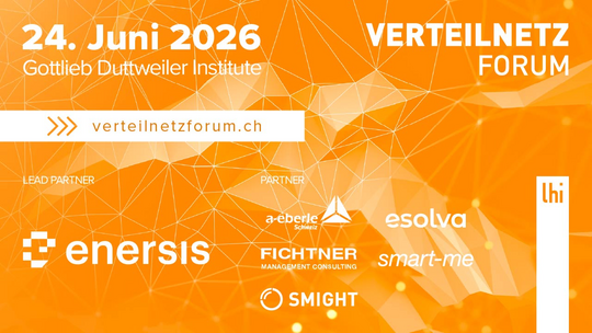 Verteilnetzforum, 24.06.2026 in Rüschlikon