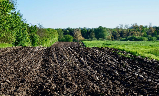 Landwirtschaftliche Bodenbearbeitung in Hanglagen führt zu geringeren Ernten