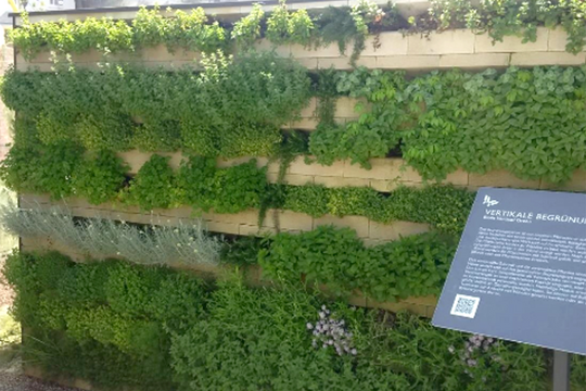 Urbane Entwicklung