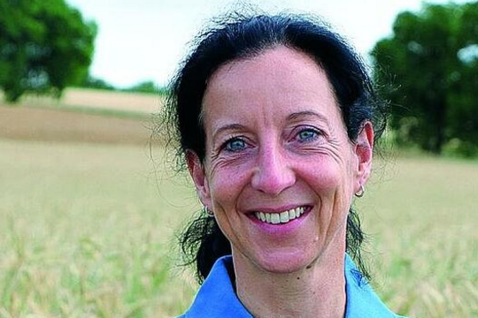 Versiegelung ist ein Totalverlust