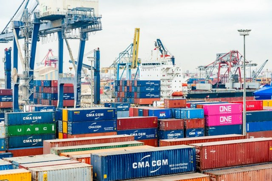 Umweltschutz in Gesetz zu globalen Lieferketten integrieren