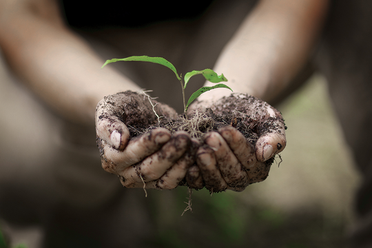 Nachhaltigkeitskampagne „Think Global – Act Local”
