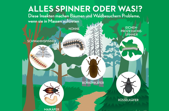 Alles Spinner, oder was?!