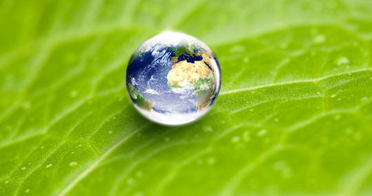Brambles: wichtige Ergebnisse bei unternehmerischer Sozialverantwortung (ESG) im ersten Jahr seiner Nachhaltigkeitsstrategie 2025