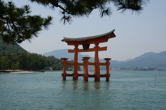 G7-Gipfel in Hiroshima: Kein echter Fortschritt für den Klimaschutz
