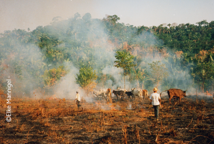 EU-Mercosur-Handelsabkommen
