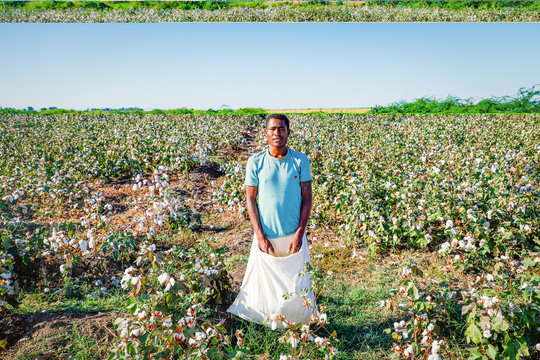 Klimawandel hält Baumwollbäuer*innen in einem Kreislauf der Armut gefangen