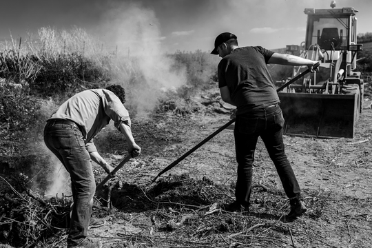 Weinbau trotz Dürre und Hitze