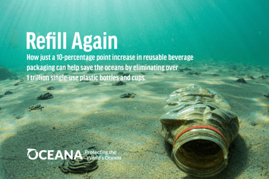 Umstellung auf Mehrwegverpackungen könnte 1 Billion Einweg-Plastikflaschen und -becher einsparen