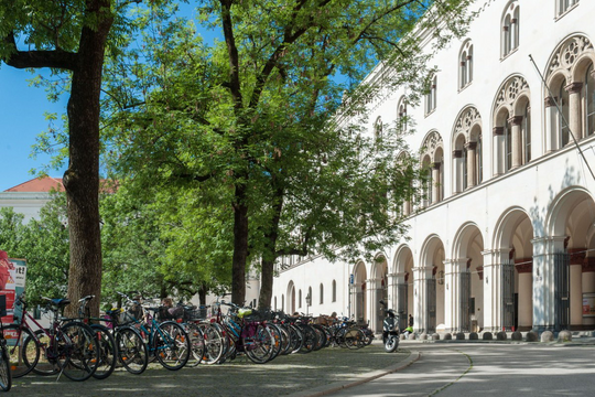 Neue ERC Synergy Grants für die LMU