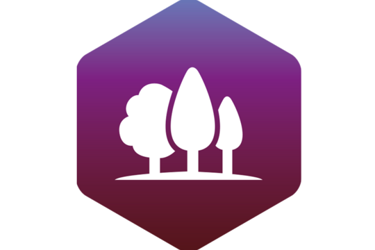 EUDR-Ready: Bereiten Sie sich intern auf die Anforderungen der EUDR vor