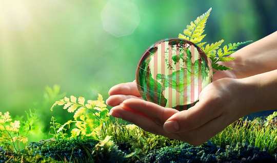 Rommelsbacher setzt Zeichen für gelebte Nachhaltigkeit