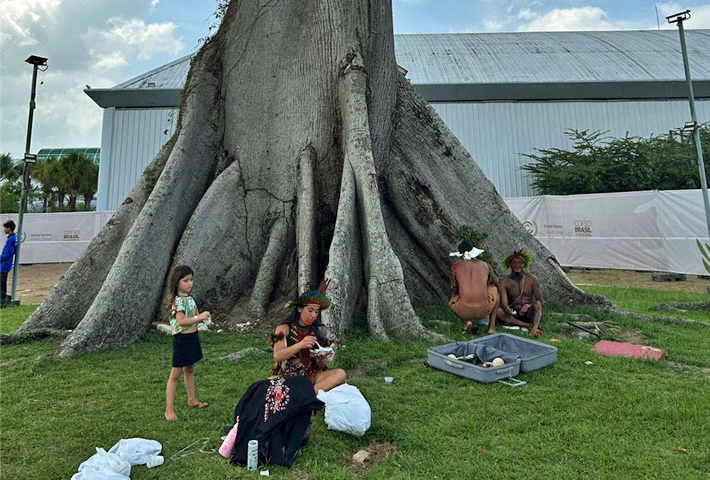 Wer rettet Paraná – und uns?