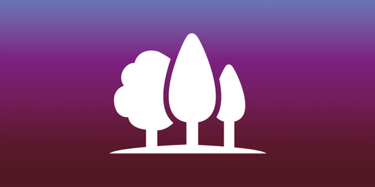 Warum EUDR-Software allein keine hinreichende Lösung ist