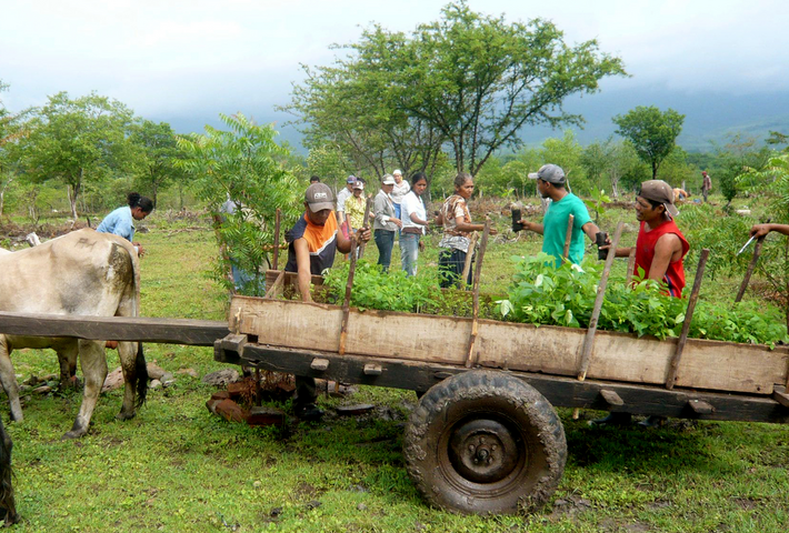Schlag ins Gesicht des globalen Südens