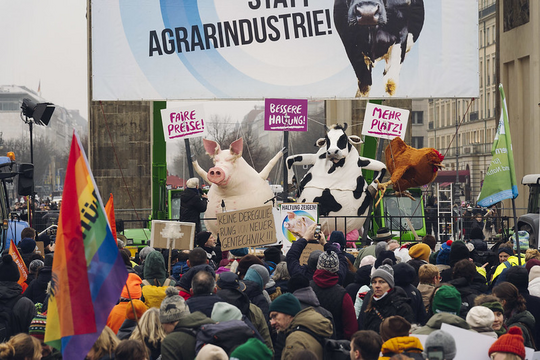 Für eine zukunftsfähige Landwirtschaft weltweit: Haltung zeigen!