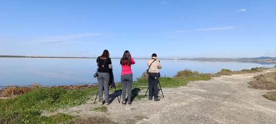 Zählen für den Naturschutz