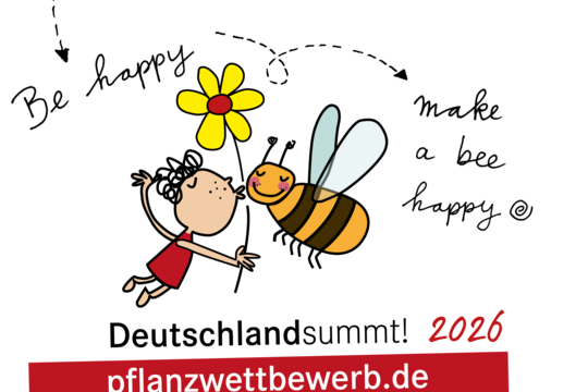 Deutschland summt!-Pflanzwettbewerb startet bald zum 11. Mal